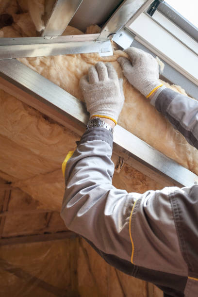 Types of Insulation We Offer in Oak Grove, LA