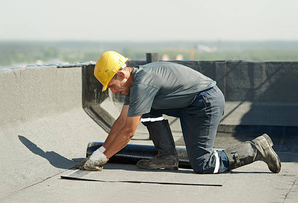 Best Commercial Insulation in Oak Grove, LA