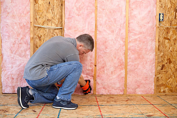 Best Cellulose Insulation in Oak Grove, LA