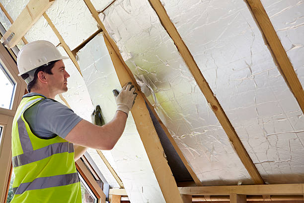 Best Eco-Friendly Insulation in Oak Grove, LA